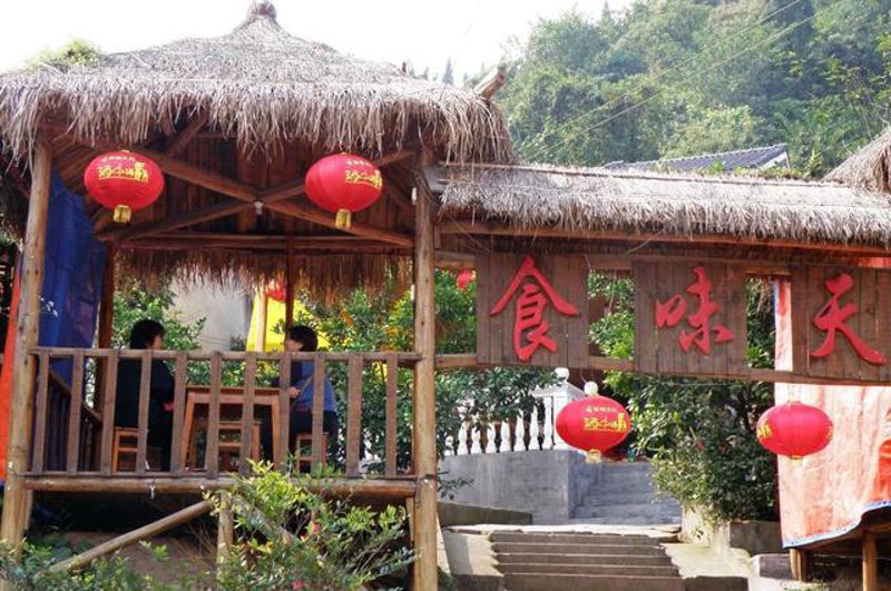 有机蔬菜采摘:亲近自然的健康之选